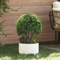 Anello per vaso 5 pcs Bianco 30 x 30 x 20 cm