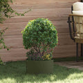 Anello per vaso Verde oliva 30 x 30 x 20 cm