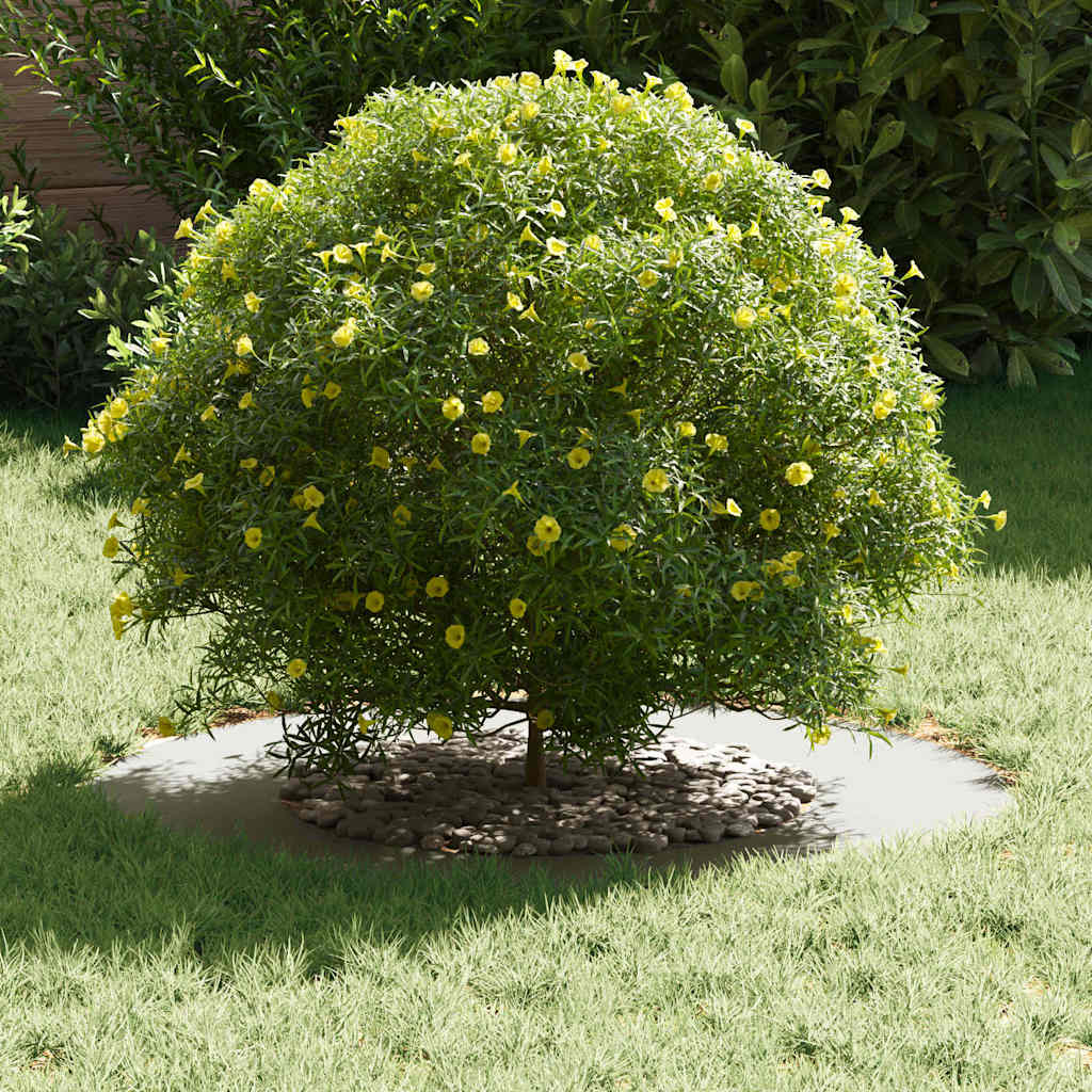 adatto per Anello d'Albero Piatto Bianco Ø40 / 70 cm Acciaio