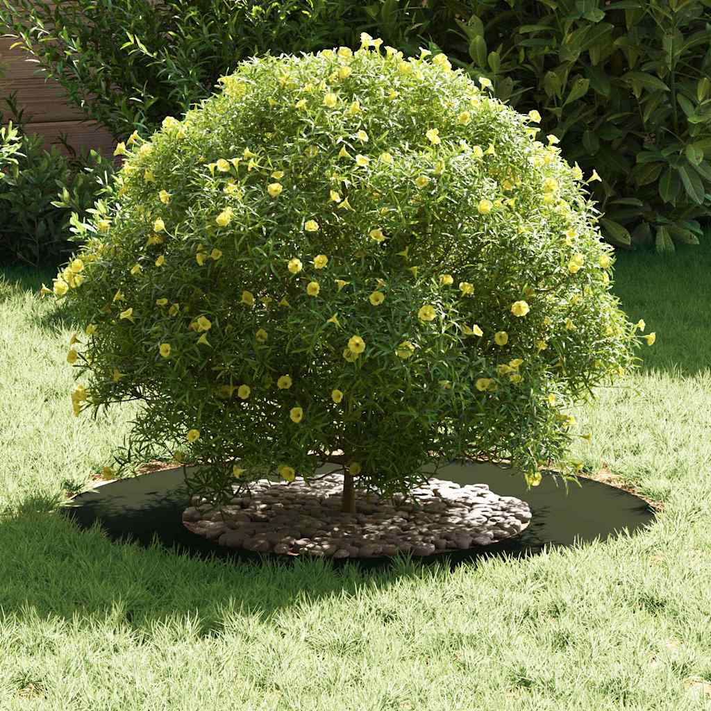 Anello d'albero Verde oliva Ø40 / 70 cm Acciaio laminato a freddo