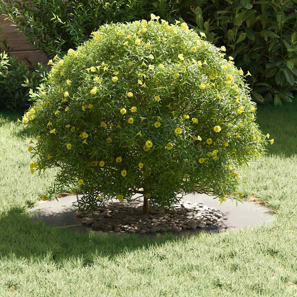 adatto per Anello d'Albero Piatto Argento Ø40 / 70 cm