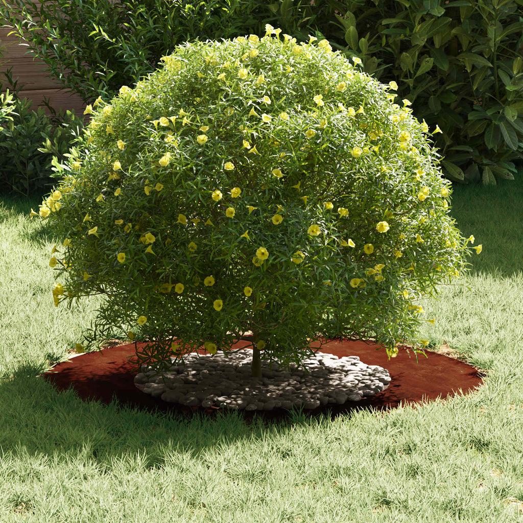 adatto per Anello d'Albero Piatto Marrone Ø40 / 70 cm