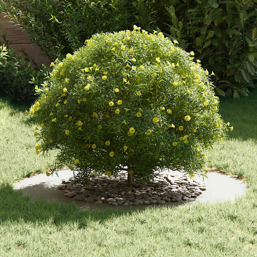 adatto per Anello d'Albero Piatto Bianco Ø50 / 80 cm Acciaio