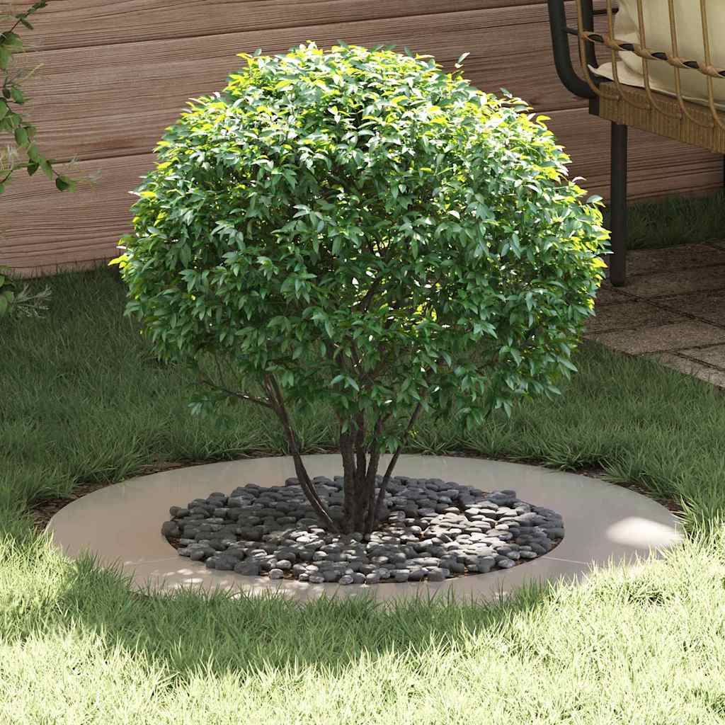 adatto per Anelli d'Albero Piatto 5 pcs Argento Ø50 / 80 cm