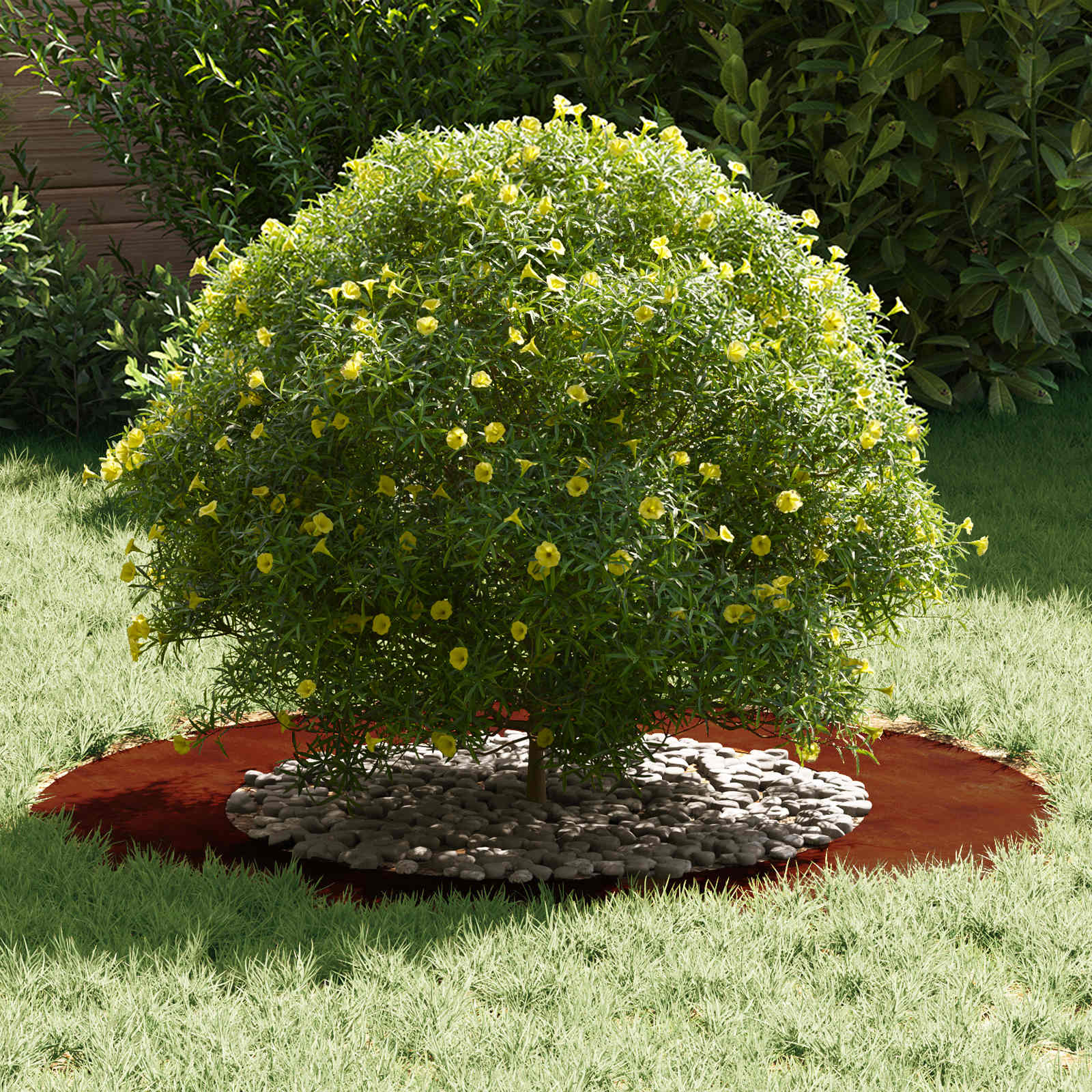 adatto per Anello d'Albero Piatto Marrone Ø50 / 80 cm