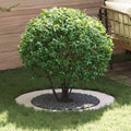 adatto per Anelli d'Albero Piatto 5 pcs Bianco Ø60 / 90 cm