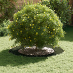adatto per Anello d'Albero Piatto Oliver verde Ø60 / 90 cm