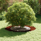 adatto per Anelli d'Albero Piatto 5 pcs Marrone Ø60 / 90 cm