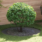 adatto per Anelli d'Albero Piatto 5 pcs Nero Ø90 / 120 cm Acciaio
