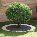 adatto per Anelli d'Albero Piatto 5 pcs Bianco Ø90 / 120 cm