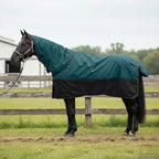 Coperta per Cavalli Verde Scuro e Nero 165 cm Poliestere