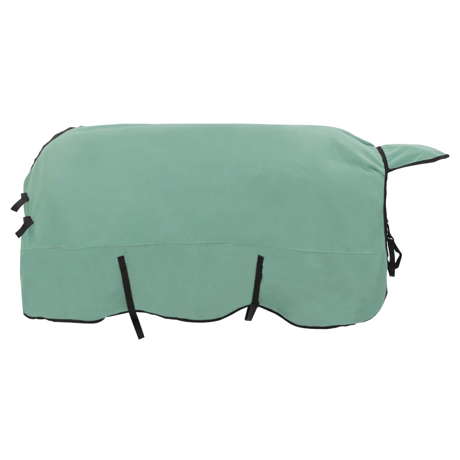 Coperta per Cavalli Verde speciale 165 cm Poliestere