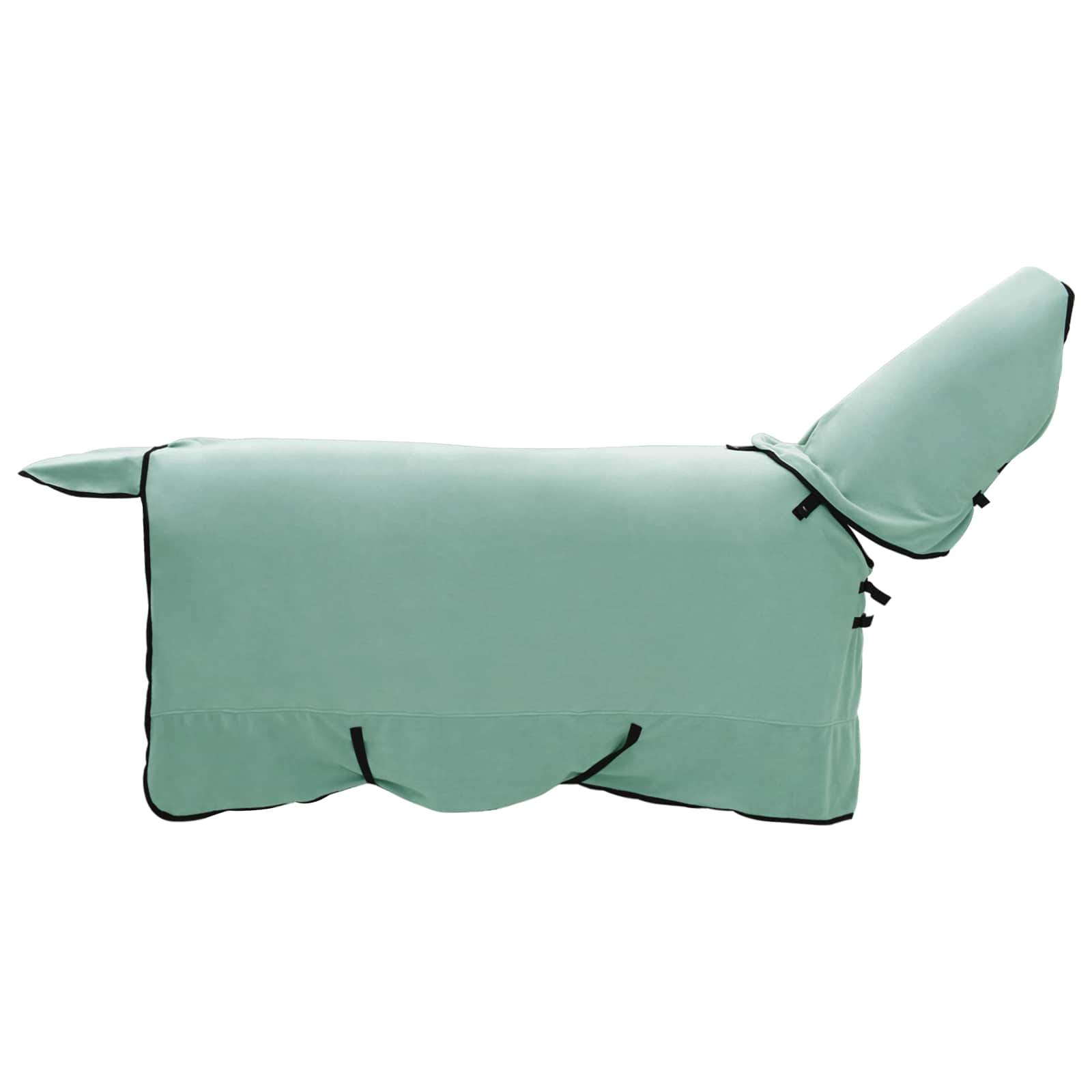Coperta per Cavalli Verde speciale 145 cm Poliestere