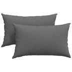 Cuscini da Divano 2 pcs Grigio scuro 50 x 30 cm Tessuto