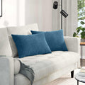 Cuscini da Divano 2 pcs Blu 60 x 40 cm Tessuto in Cords