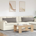 Cuscini da Divano 2 pcs Talpa 120 x 40 cm Tessuto