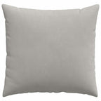 Cuscini da Divano 2 pcs Grigio chiaro 45 x 45 cm Tessuto