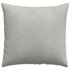 Cuscini da Divano 2 pcs Grigio chiaro 50 x 50 cm