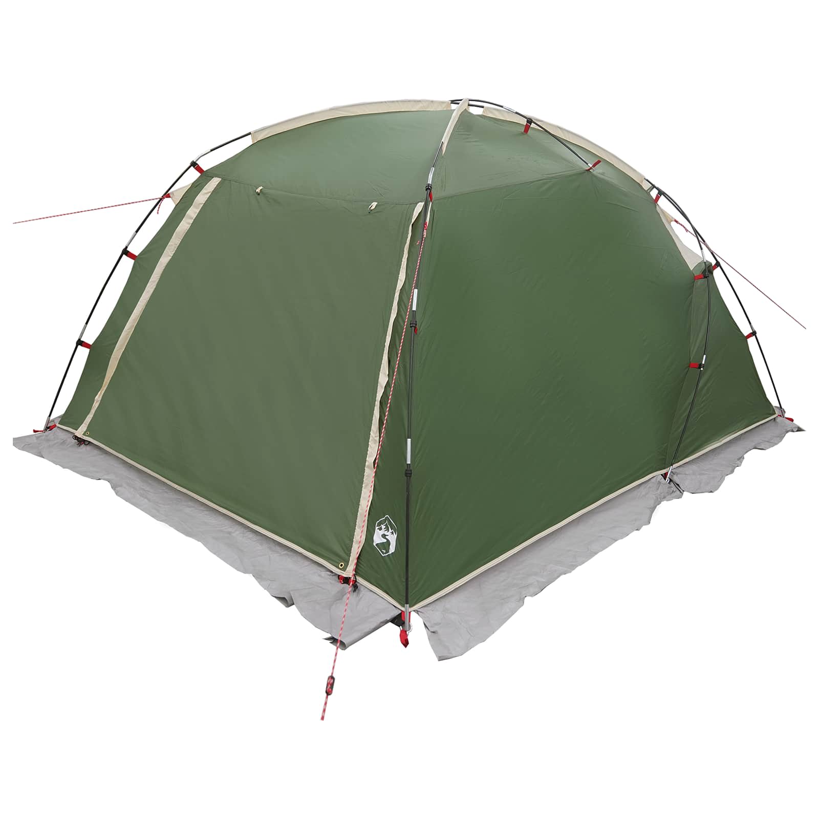 Tenda a tunnel Verde 361 x 235 x 147 cm