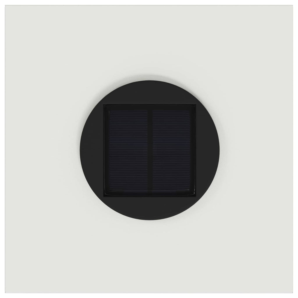 Lucina LED Solare da Percorso 2 pcs Bianco