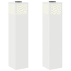 Faro LED solare per sentieri 2 pcs Bianco