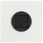 Faro LED solare per sentieri 2 pcs Bianco