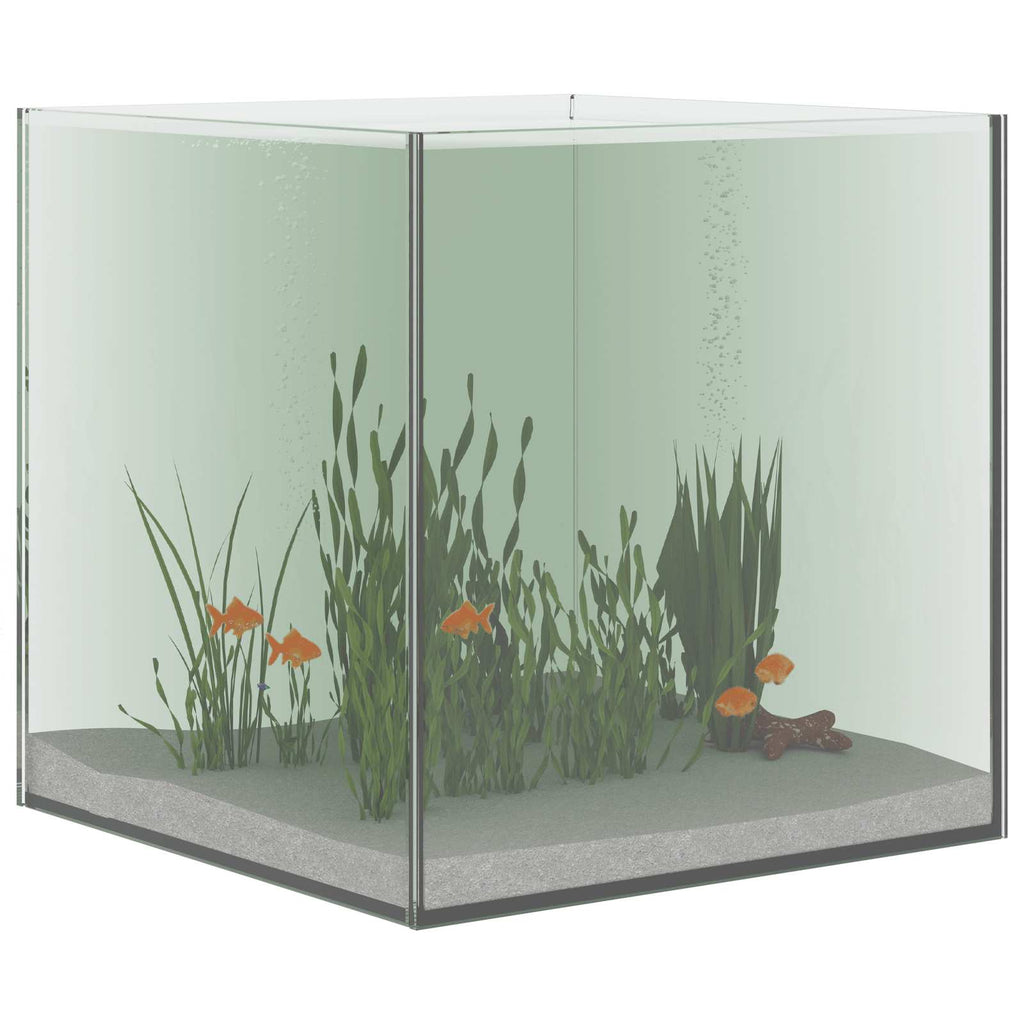Acquario con archiviazione Trasparente 30 x 30 x 30 cm Vetro