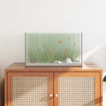 Acquario con archiviazione Trasparente 50 x 30 x 30 cm Vetro