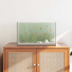 Acquario con archiviazione Trasparente 50 x 30 x 30 cm Vetro