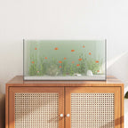 Acquario con archiviazione Trasparente 60 x 30 x 30 cm Vetro