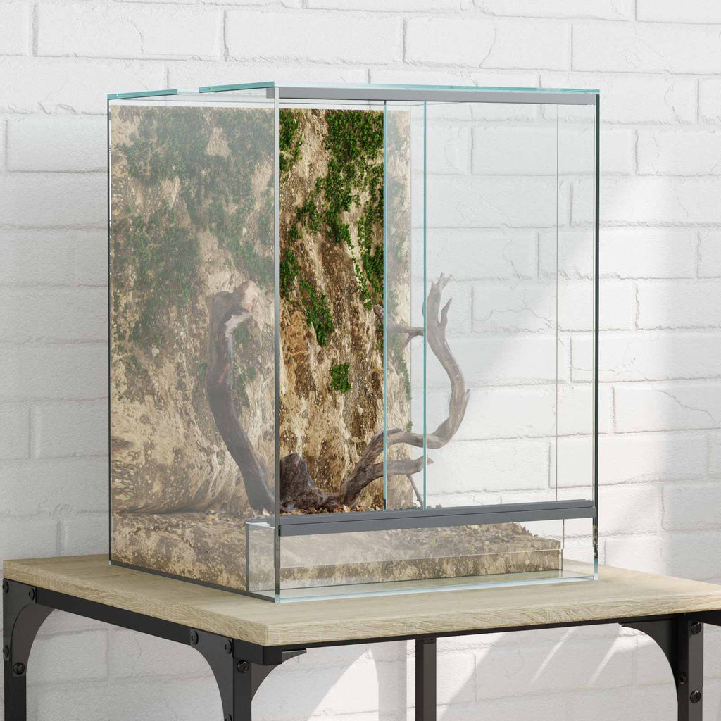 Terrario con archiviazione Trasparente 30 x 30 x 40 cm Vetro