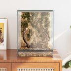 Terrario con archiviazione Trasparente 30 x 30 x 40 cm Vetro