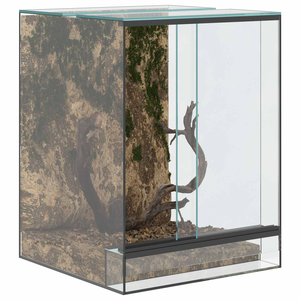 Terrario con archiviazione Trasparente 30 x 30 x 40 cm Vetro