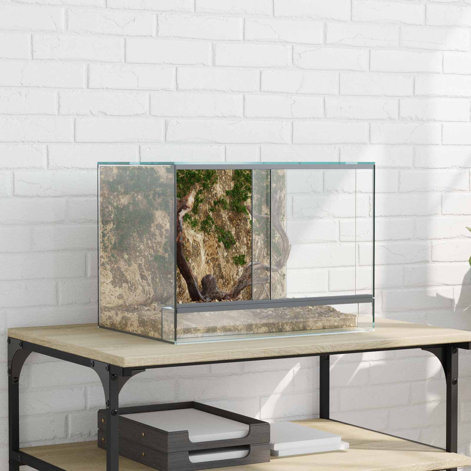 Terrario con archiviazione Trasparente 40 x 30 x 30 cm Vetro
