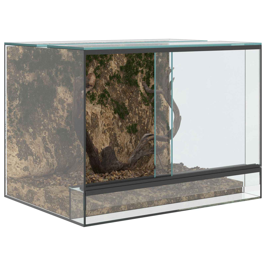 Terrario con archiviazione Trasparente 40 x 30 x 30 cm Vetro