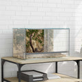 Terrario con archiviazione Trasparente 50 x 30 x 30 cm Vetro