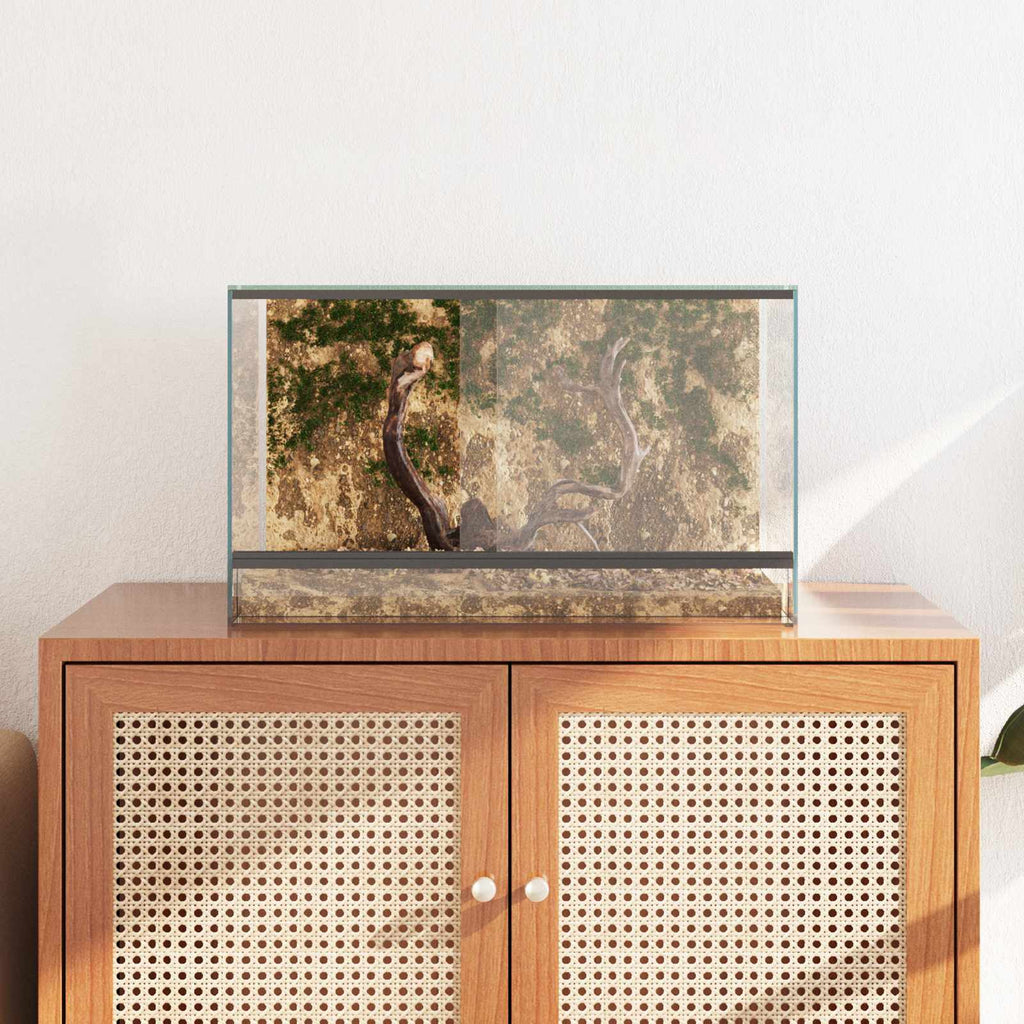 Terrario con archiviazione Trasparente 50 x 30 x 30 cm Vetro