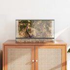 Terrario con archiviazione Trasparente 50 x 30 x 30 cm Vetro