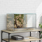Terrario con archiviazione Trasparente 60 x 40 x 40 cm Vetro