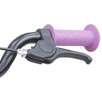 Bicicletta per Bambini 12 Pollici per bambini di 2-4 anni Viola