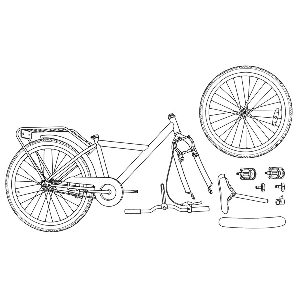 Bicicletta per Bambini 20 Pollici