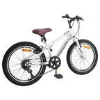 Mountain Bike 20 Pollici 6-Speed per 5-8 anni Bianco