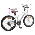 Mountain Bike 20 Pollici 6-Speed per 5-8 anni Bianco