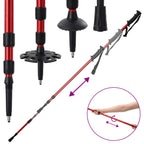 Racchette da neve 3 in 1 con bastoni da trekking Rosso e Nero