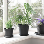 Vaso Rotondo per Fiori 6 pcs Nero Ø 19 x 16 cm Plastica
