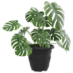 Vaso Rotondo per Fiori 6 pcs Nero Ø 22 x 18 cm Plastica