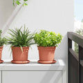 Vassoio Rotondo per Fiori 6 pcs Rosso Mattone Ø 14 x 2 cm