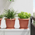Vassoio Rotondo per Fiori 6 pcs Rosso Mattone Ø 17,5 x 2 cm