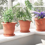 Vassoio Rotondo per Fiori 6 pcs Rosso Mattone Ø 17,5 x 2 cm