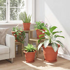Vassoio Rotondo per Fiori 6 pcs Rosso Mattone Ø 19 x 2 cm